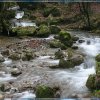 IMG_7654